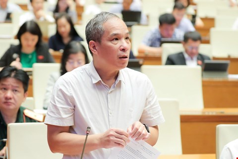 Phó Thống đốc Ngân hàng Nhà nước Đoàn Thái Sơn - ảnh:QH