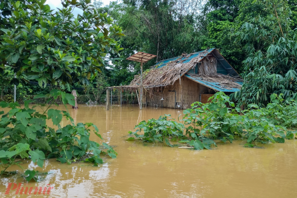 Hình ảnh một hộ dân tại bãi giữa sông Hồng bị nước dâng cao nhấn chìm, cô lập giữa biển nước.