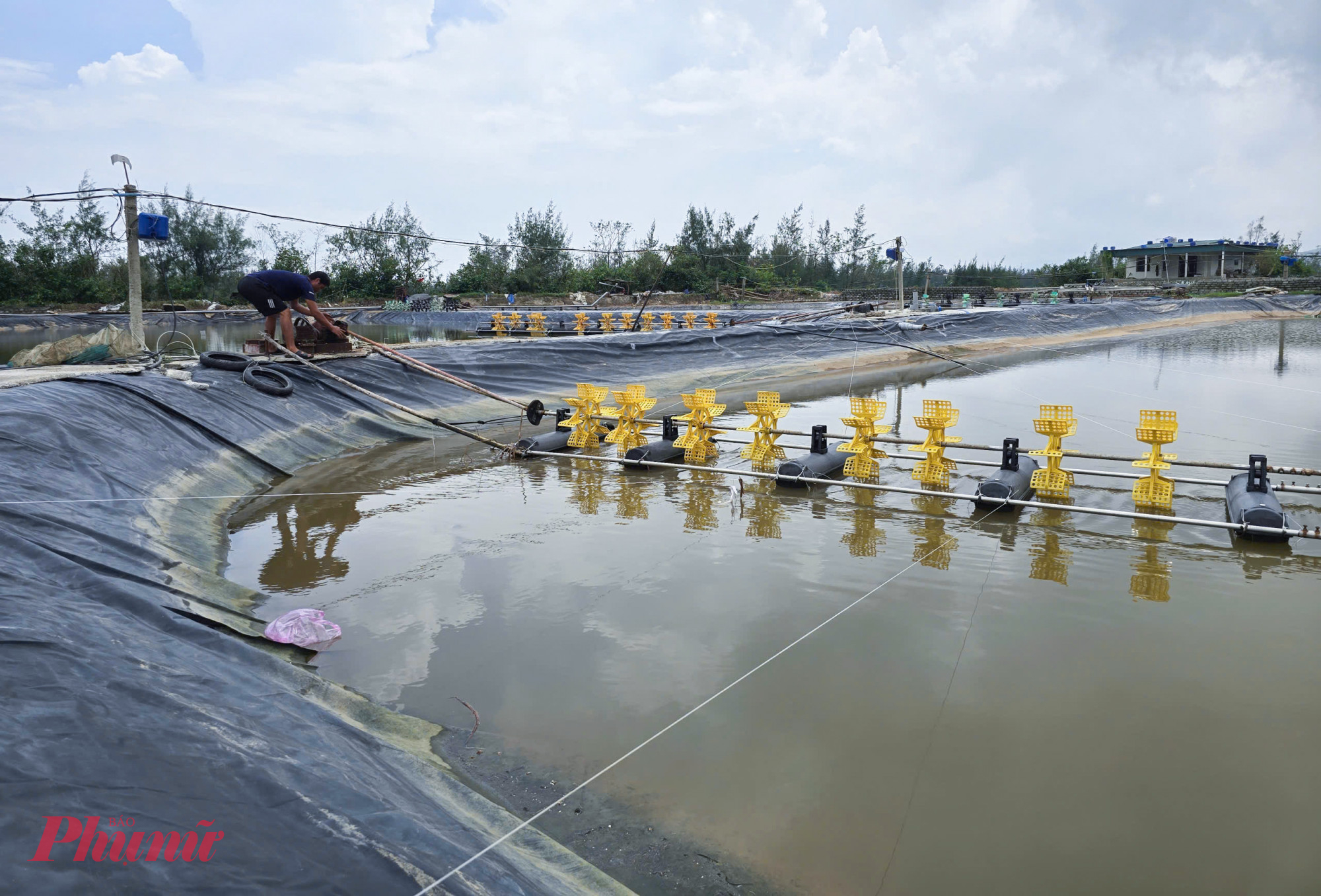 Anh Lê Văn Diện (41 tuổi, trú xóm 5, xã An Châu) cho biết, lũ tràn về trong bão số 10 đã cuốn trôi toàn bộ 3 hồ tôm rộng 5.000m² sắp thu hoạch.