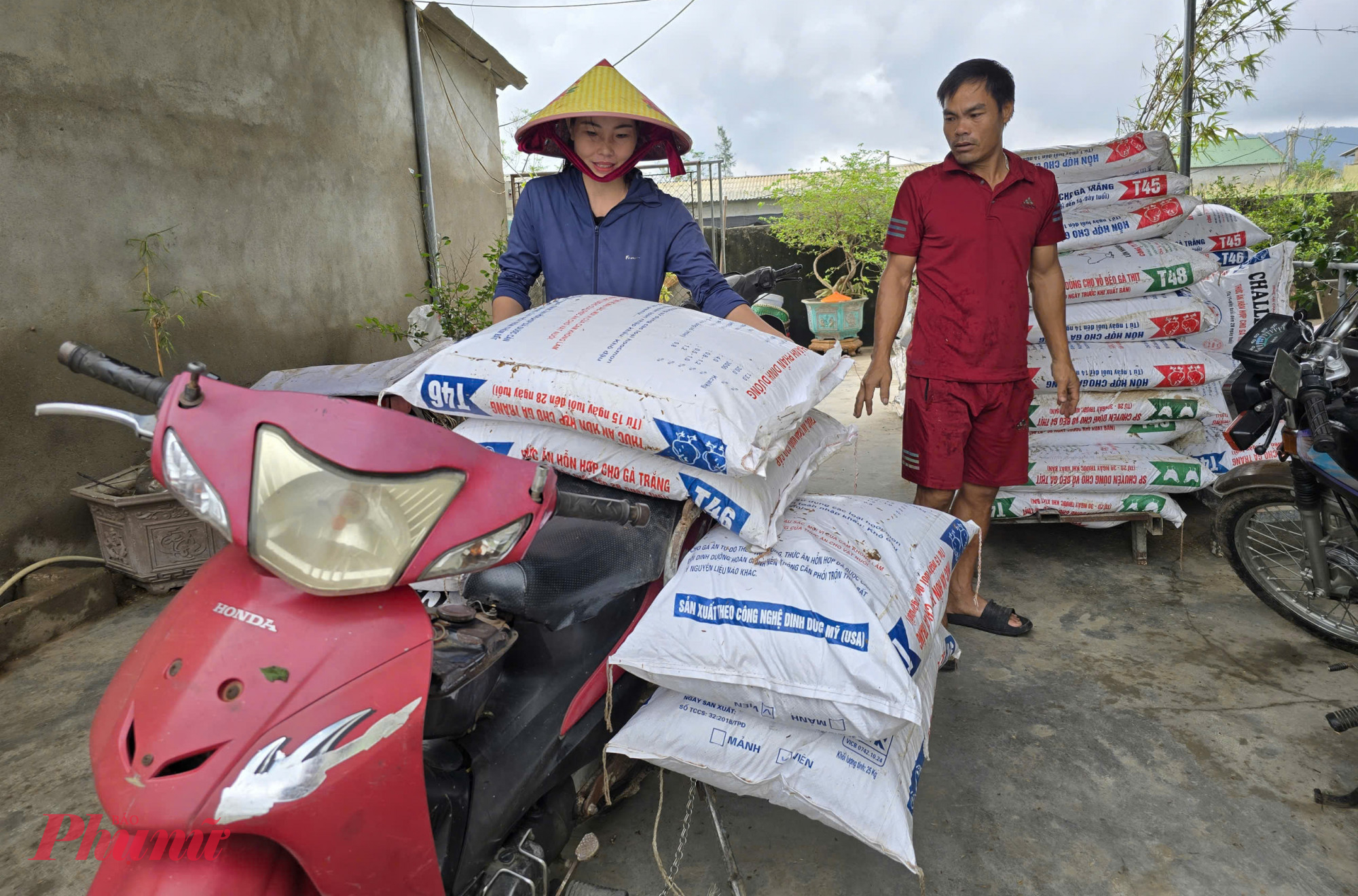Hàng tấn cám gà cũng bị ngâm nước lũ. Để vớt vát lại chốt vốn liếng, chị Dung đành chấp nhận mang đi bán tháo với giá rẻ cho người chăn nuôi gà trong vùng.