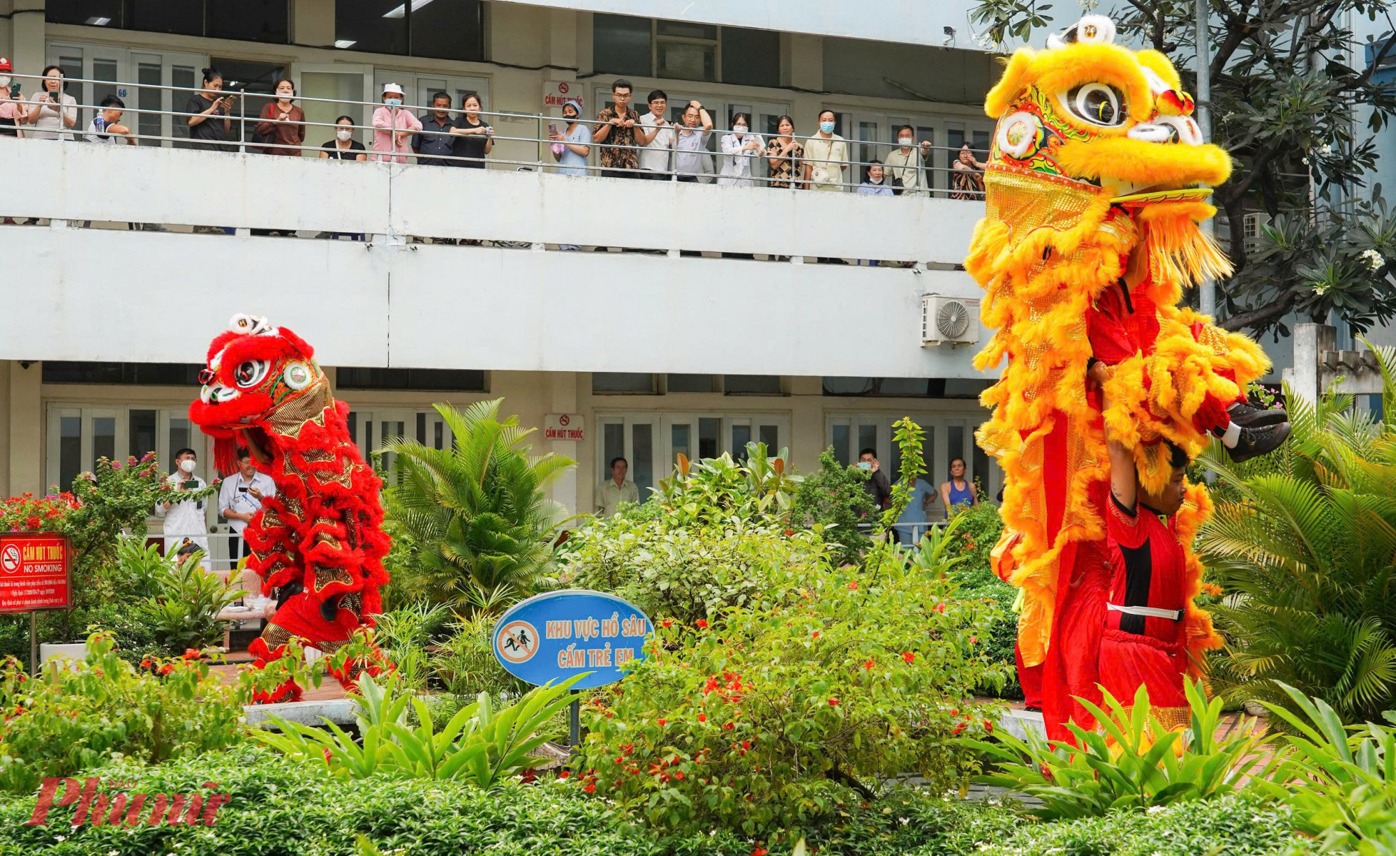 Chương trình là món quà tinh thần ý nghĩa, góp phần xoa dịu nỗi đau bệnh tật và mang lại niềm vui trẻ thơ giữa những ngày nằm viện, với sự mở đầu bằng đội lân thu hút thân nhân, bệnh nhân đến tham dự