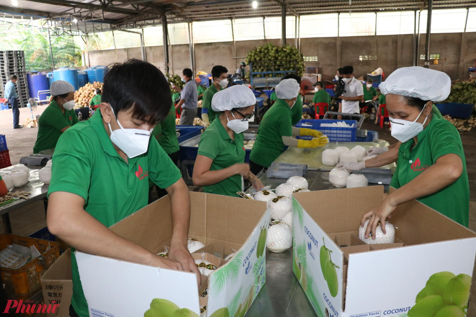 Ngành công nghệ dừa thế mạnh của tỉnh Vĩnh Long. Ảnh: Huỳnh Lợi