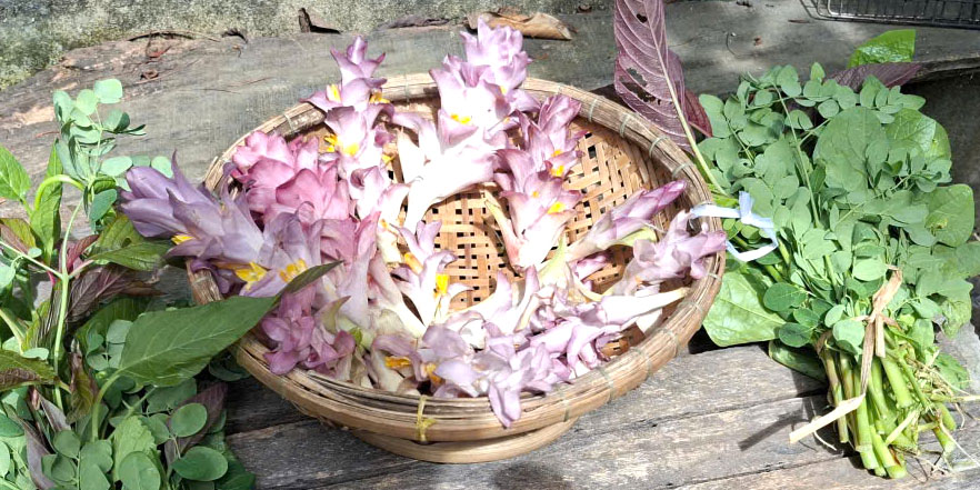 Rổ bông giờ đem nấu canh tập tàng (đủ loại rau)