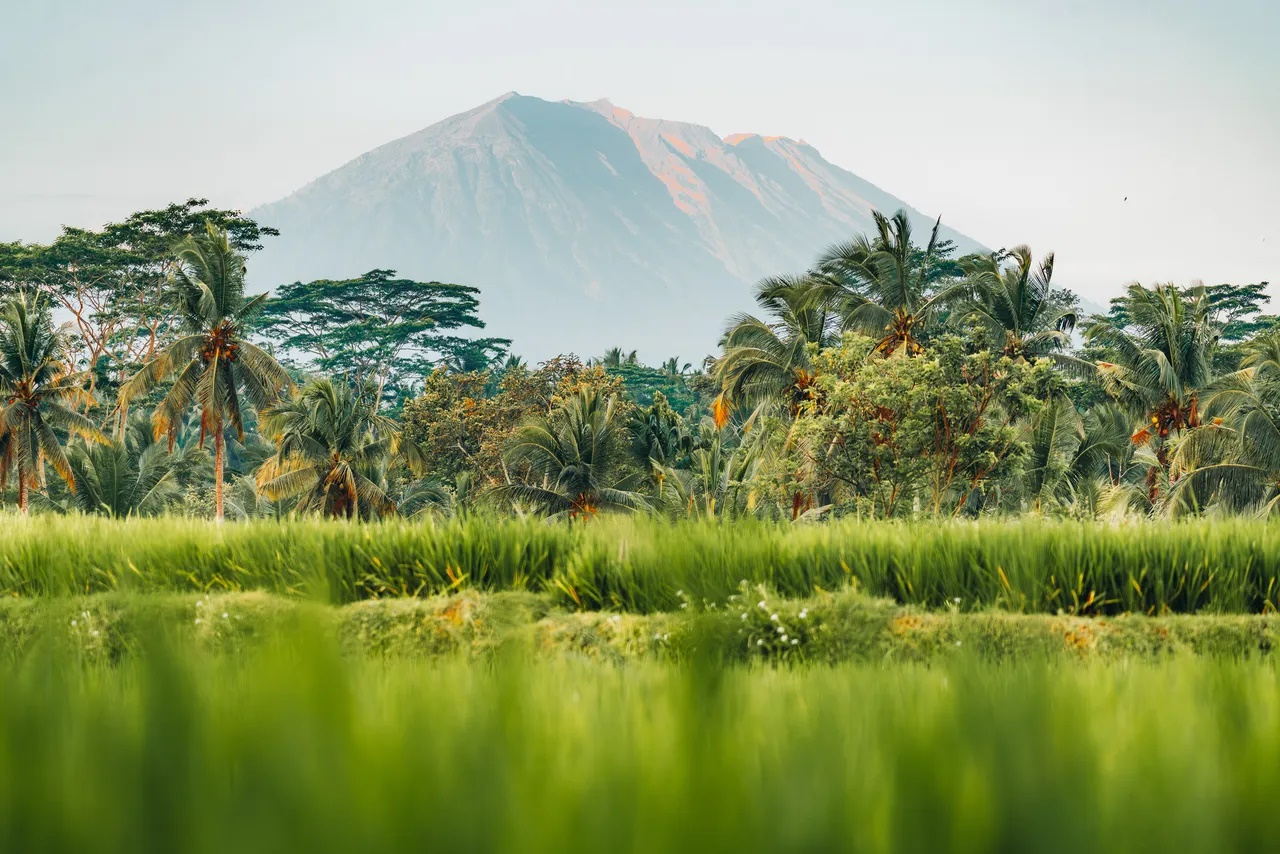 Ảnh: Getty Images