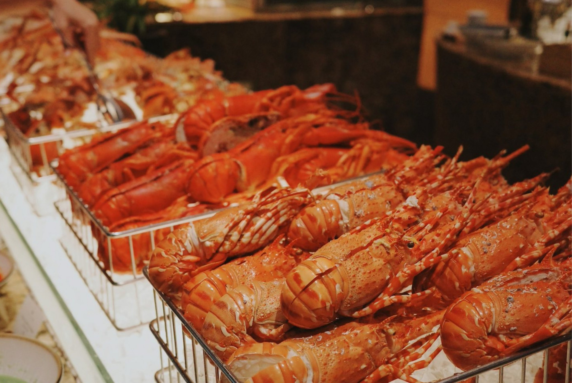 Riêng mùa Trung thu, nhà hàng tạo điểm nhấn với quầy tráng miệng chủ đề lễ hội, nổi bật là bánh trung thu thủ công, chè hạt sen và các món ngọt Á Đông, giúp bữa tiệc đoàn viên thêm trọn vẹn hương vị truyền thống xen lẫn hiện đại.  Giá buffet Trung thu: từ 1.880.000 VNĐ/ khách (chưa bao gồm thức uống).
