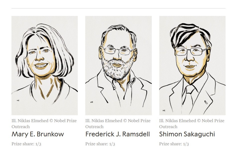 Hình ảnh các nhà khoa học nhận giải Nobel Sinh lý học hoặc Y học năm 2025 - Ảnh: Nobel Prize