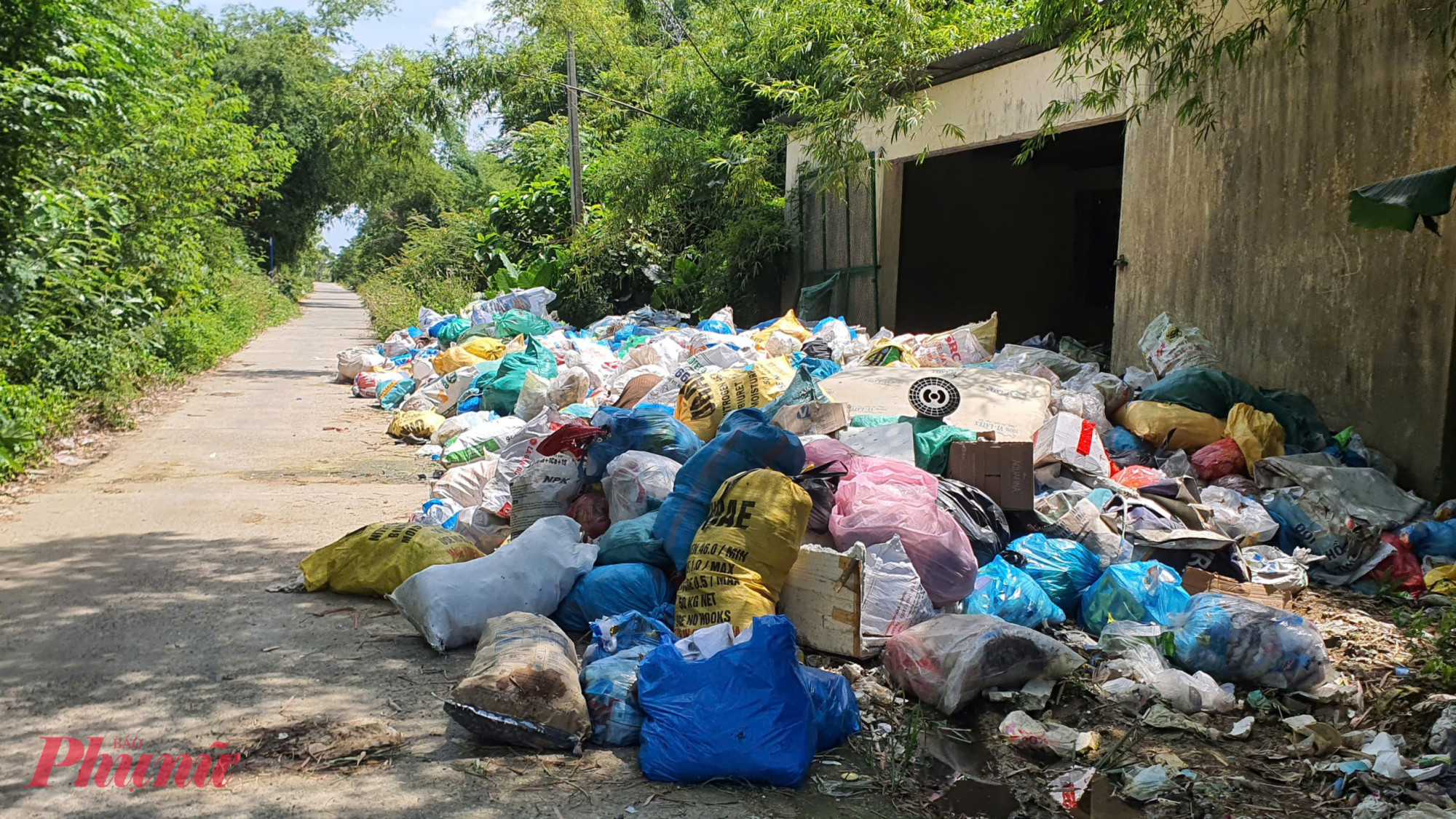 UBND phường Điện Bàn Đông đã ban hành phương án thu gom rác thải rắn sinh hoạt về 5 điểm tập kết rác tạm thời trên địa bàn. Thời gian triển khai 30 ngày, bắt đầu từ ngày 5/10, tần suất 1 lần/tuần.