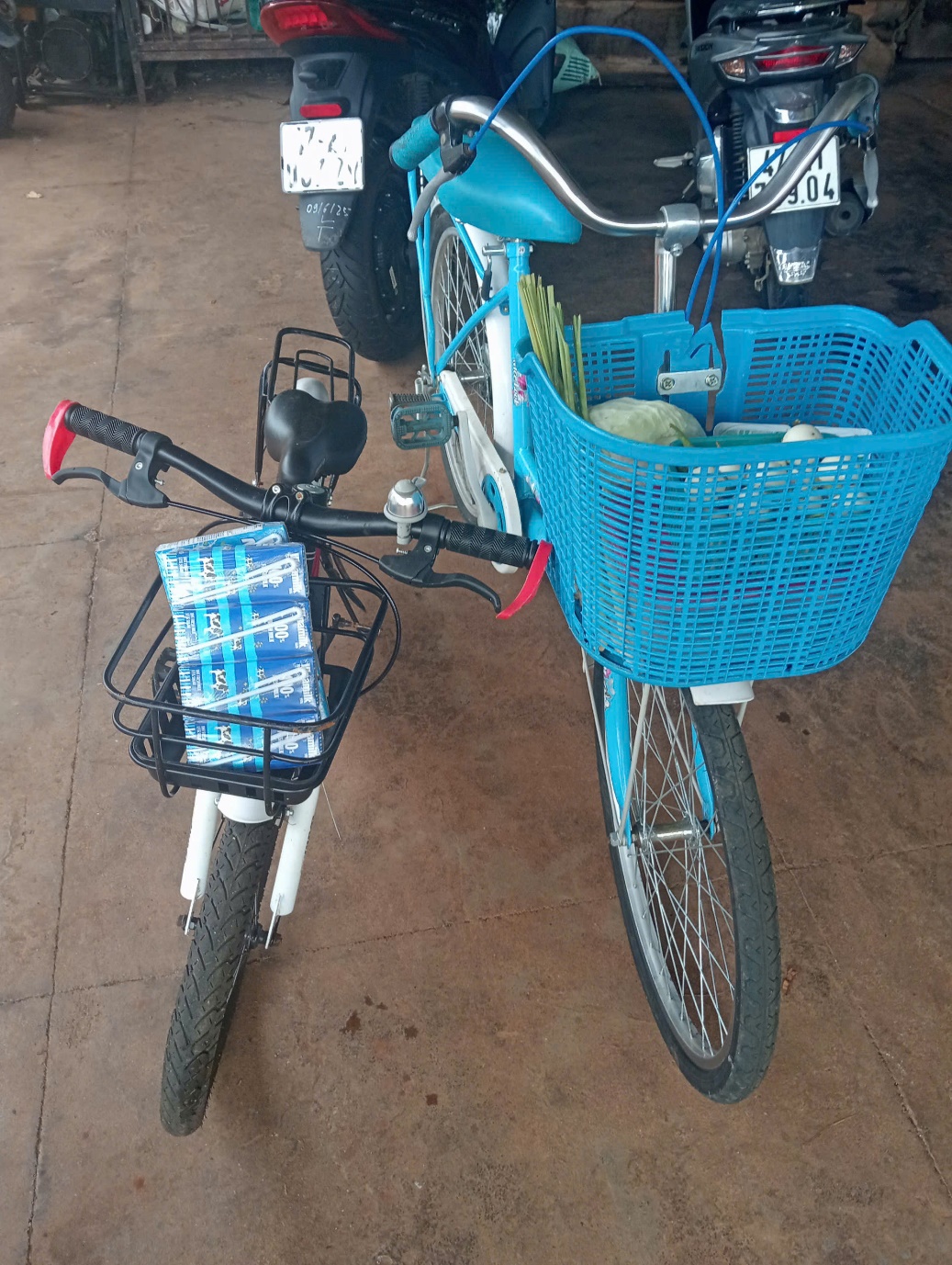 Mẹ con tôi đạp xe đi chợ và đựng đồ ở giỏ xe mà không cần dùng túi ni lông - Ảnh: Cỏ Thi