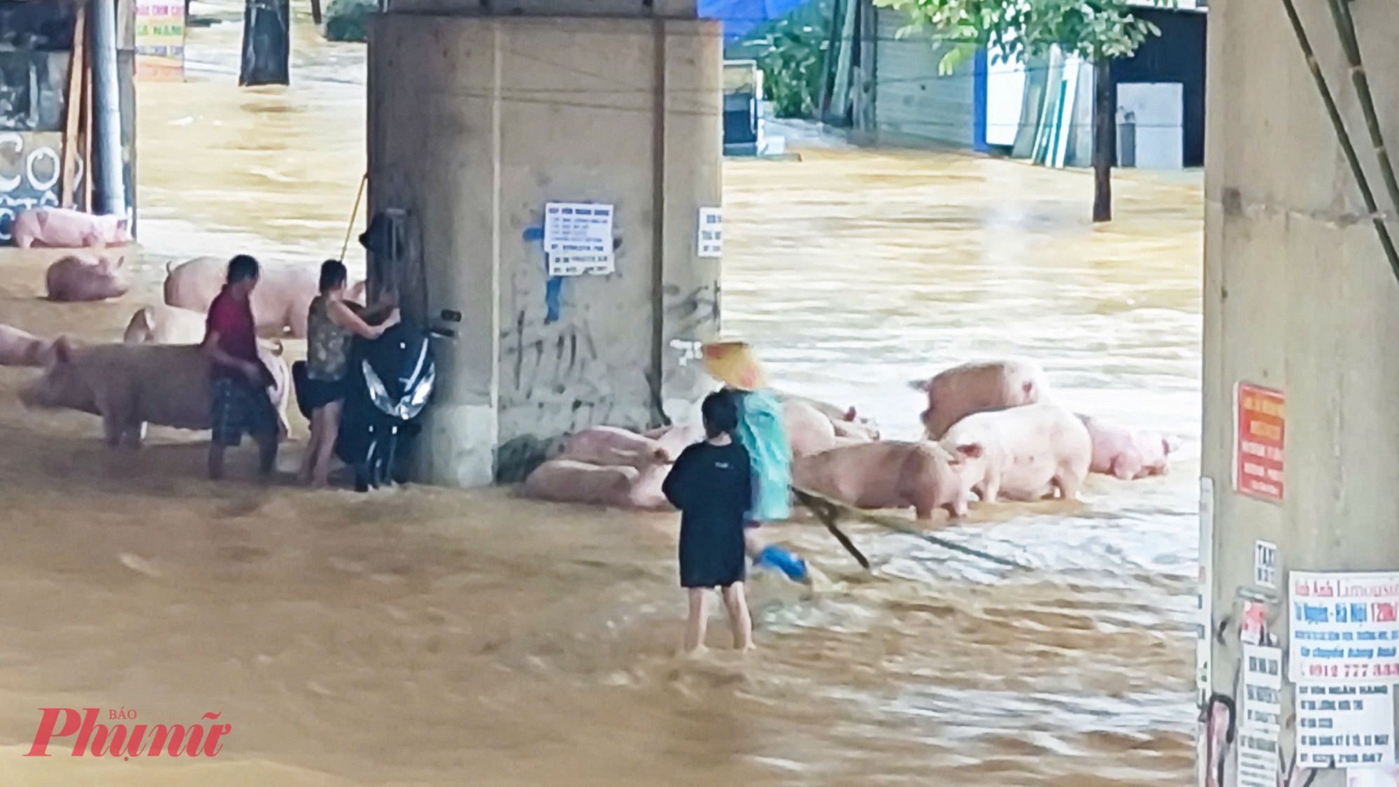Thiệt hại về nông nghiệp và thủy sản: Ngập 4.402,16 ha, trong đó 2.813,72 ha lúa; 1.016,24 ha hoa màu, thủy sản 136,7 ha; 435,5 ha chè. Thiệt hại về chăn nuôi: Chết, trôi 58.380 con gia cầm. Số lượng lợn chết cuốn trôi và vật nuôi khác chưa thống kê được. Thiệt hại về giao thông: Sạt lở và ngập úng tại nhiều tuyến đường, cầu tràn.