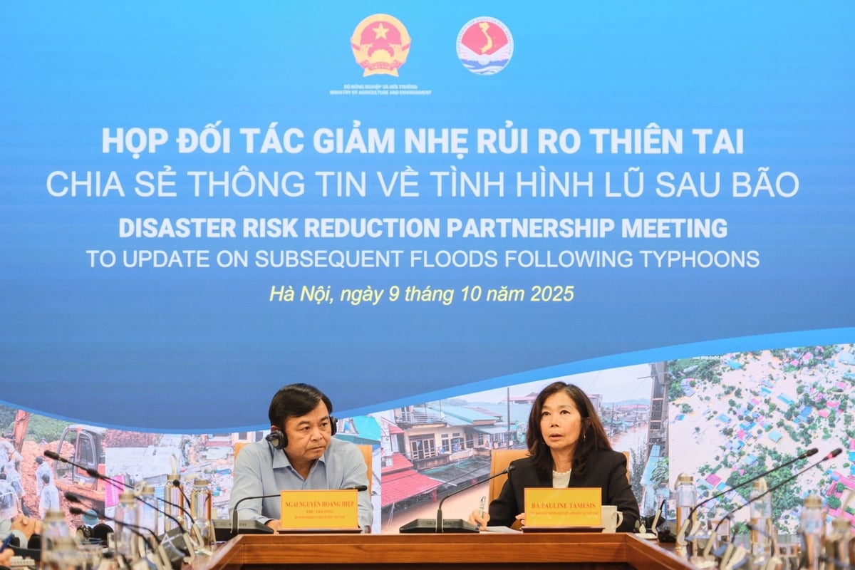 Thứ trưởng Nguyễn Hoàng Hiệp và Điều phối viên Pauline Tamesis điều phối phiên thảo luận với các Đại sứ quán, tổ chức quốc tế. Ảnh: Diệp Anh.