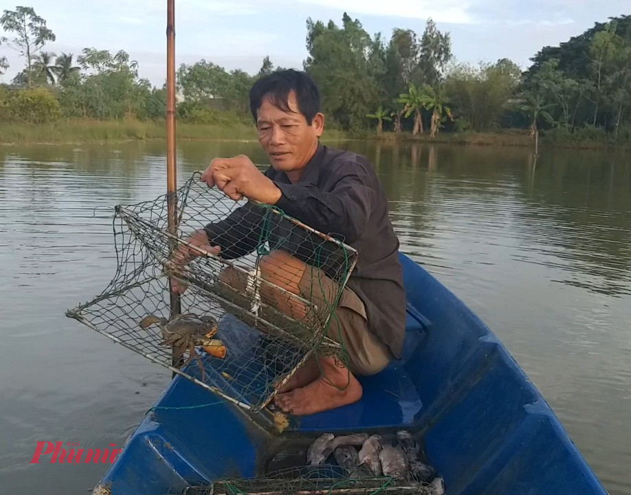 Nông dân đặt lú hoặc rập để thu hoạch cua biển 