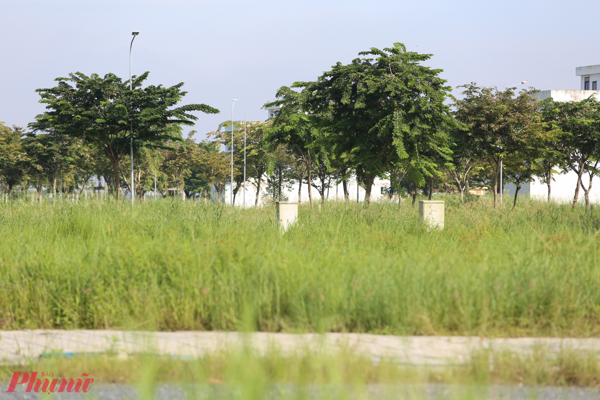 đã thanh toán từ 85% đến 95% giá trị nền đất, nhưng Công ty CP Free Land không thực hiện các cam kết như hợp đồng mua bán và bàn giao đất đã ký.