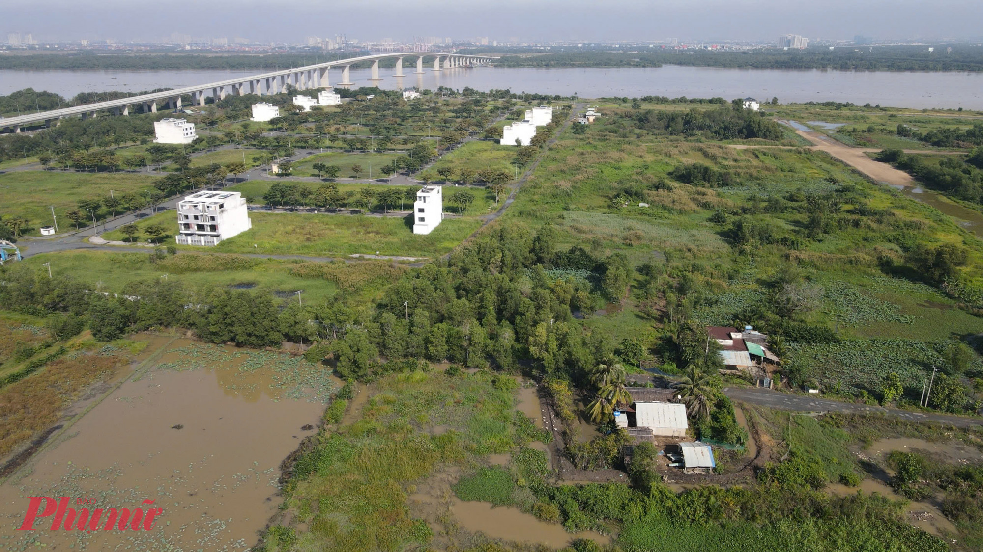 Dự án King Bay rộng 125ha ngay cầu Nhơn Trạch (Vành đai 3 TPHCM) được xem là một trong những “siêu dự án” có vị trí đắc địa, nằm ven sông Đồng Nai, đối diện TP Thủ Đức (cũ), TPHCM nay hoang tàn, cỏ mọc um tùm sau nhiều năm án binh bất động.