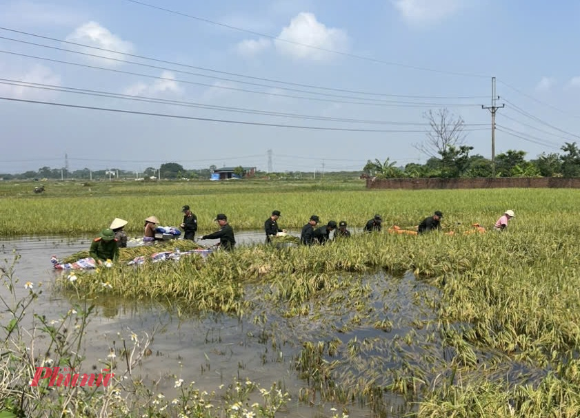 Chủ tịch TP Hà Nội - Trần Sỹ Thanh yêu cầu chính quyền các cấp khẩn trương tổ chức dọn dẹp môi trường, tiêu độc khử trùng, hỗ trợ người dân khôi phục sinh hoạt, sản xuất; đặc biệt quan tâm các hộ chính sách, người nghèo, người già, trẻ em, đối tượng yếu thế, bảo đảm mọi người dân đều có nơi ở an toàn, đủ lương thực và nước sạch.