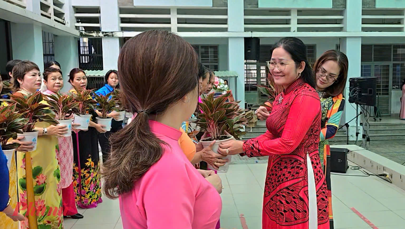 Trần Thị Hường – Phó Bí thư Thường trực Đảng ủy phường Bàn Cờ