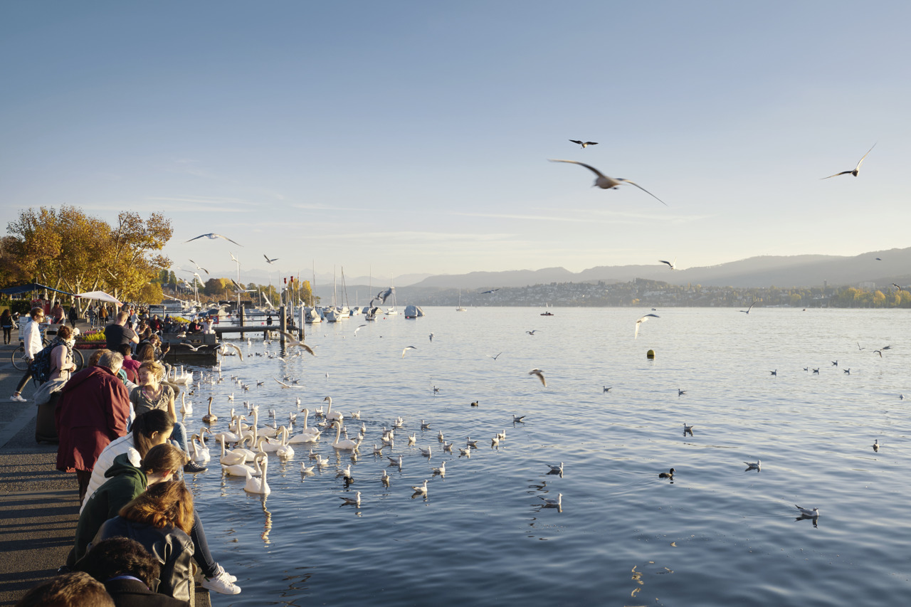 Hồ Zurich là nơi nhất định phải ghé khi đến Zurich - Ảnh: Zürich Tourismus
