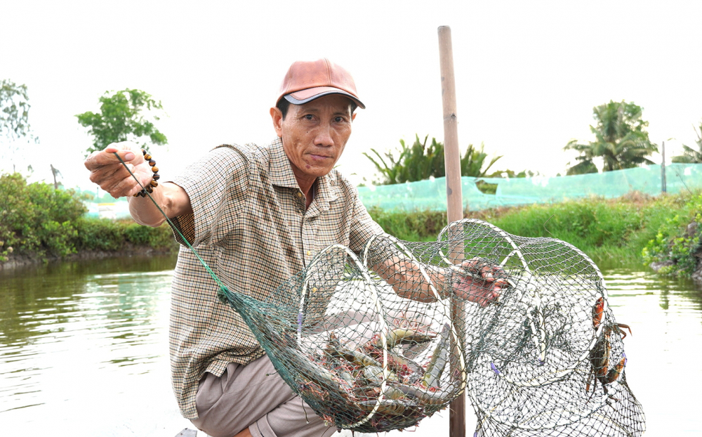 Cà Mau - nông dân vươn lên làm giàu từ thủy sản Ông Huỳnh Thanh Sự (ngụ phường Tân Thành, tỉnh Cà Mau) làm giàu từ mô hình nuôi tôm, cua kết hợp
