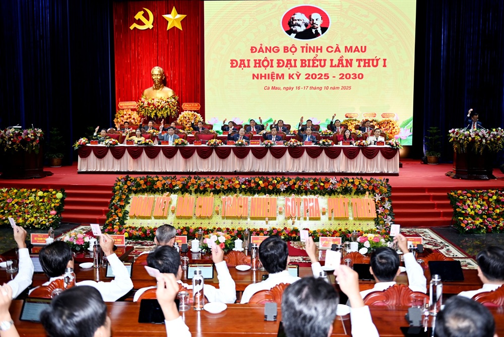 Quang cảnh phiên trù bị Đại hội đại biểu Đảng bộ tỉnh Cà Mau lần thứ I, nhiệm kỳ 2025-2030, vào sáng 16/10 - Ảnh: Ban tổ chức đại hội cung cấp