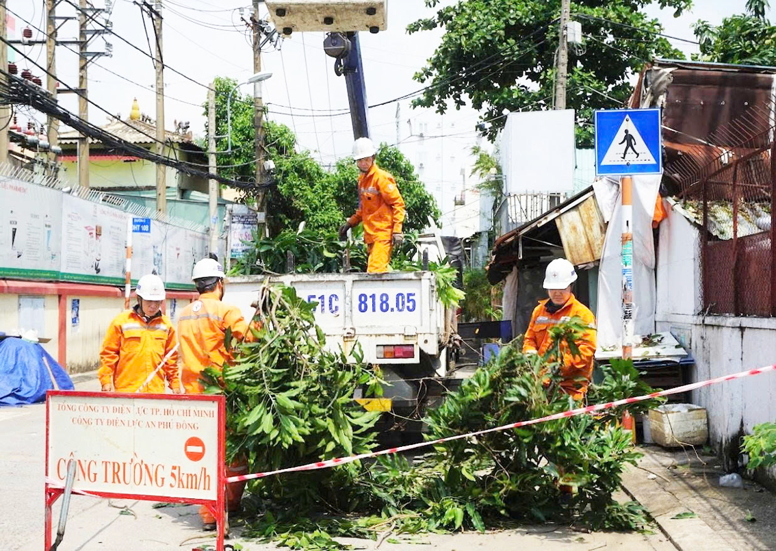 Vào mùa mưa bão, ngành điện lực TPHCM thường xuyên phối hợp với đơn vị quản lý cây xanh, rà soát các tuyến đường dây có cây cao, to, dễ ngã đổ để chặt tỉa, ngăn ngừa cây ngã vào lưới điện