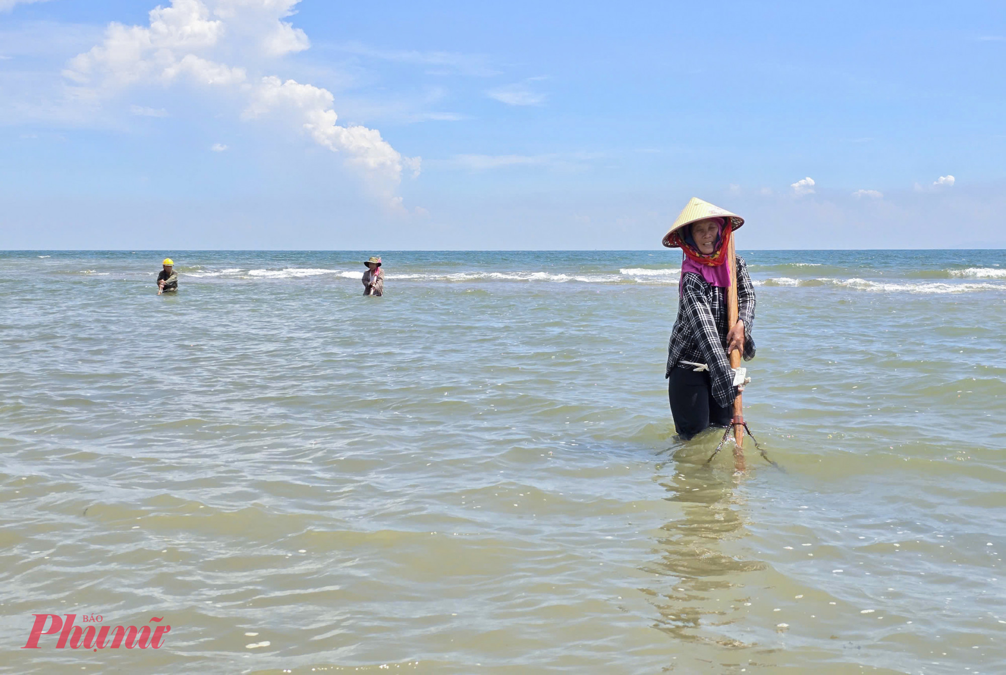 Hơn 10 năm gắn bó với nghề cào ngao, bà Mai Thị Thìn (62 tuổi, trú thôn Đông Biên, xã Đan Hải) cho biết, ở làng biển này cứ vào mùa ngao sẽ có hàng chục người đi cào để kiếm “ba cọc ba đồng”. Công việc vất vả, thu nhập chẳng nhiều, nhưng nhiều người vẫn gắn bó với nghề bởi có thể chủ động được thời gian.