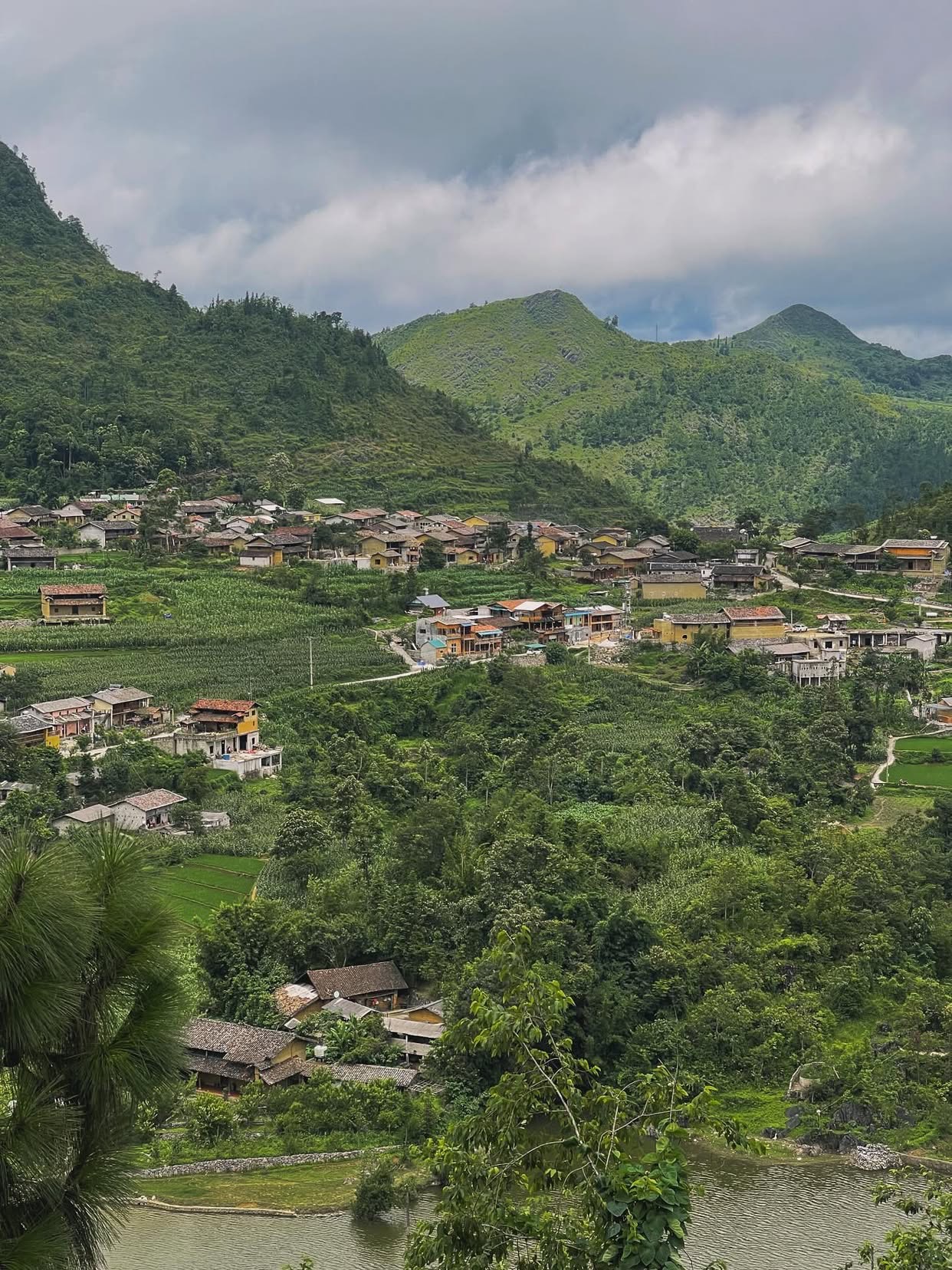 Từ trên cao nhìn xuống, ngôi làng như một bức tranh yên bình với những mái nhà trình tường vàng ấm, mái ngói âm dương xen kẽ ruộng ngô và những hàng đào, lê nở trắng trời mỗi độ xuân về.