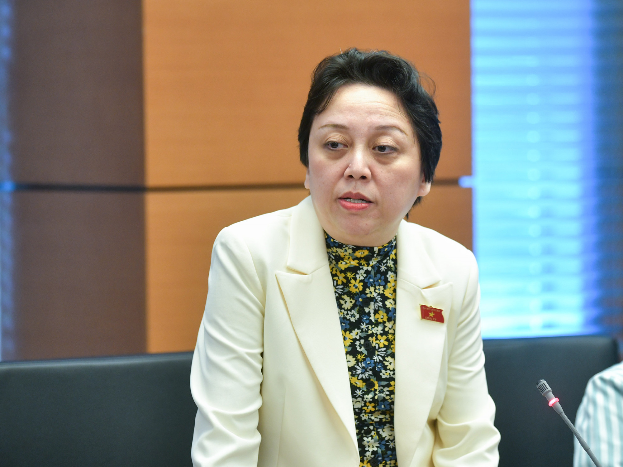 ĐBQH Phạm Khánh Phong Lan - ảnh: V.D