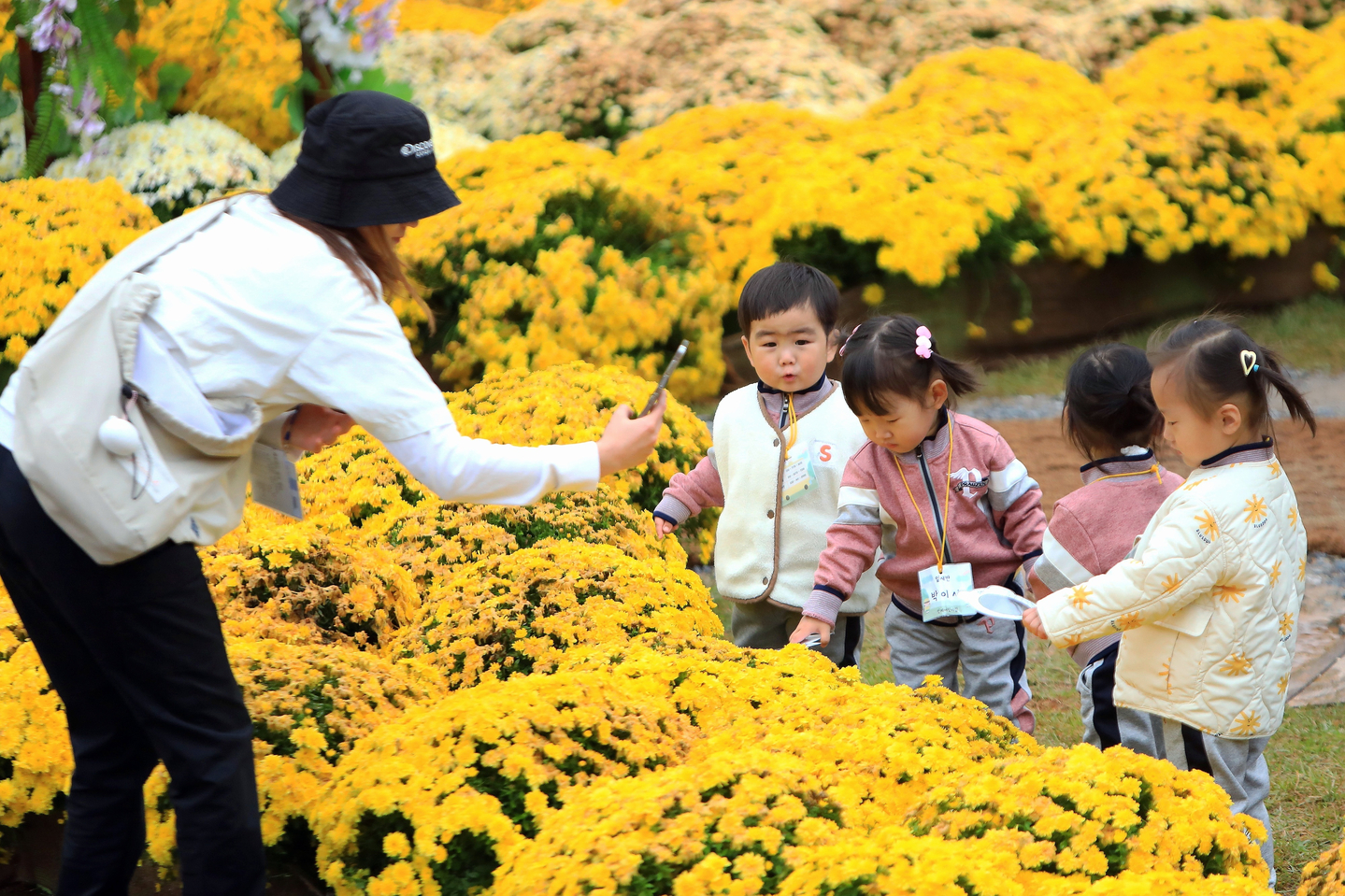 ỷ lệ sinh tăng nhẹ nhưng số nhà trẻ tiếp tục giảm, khiến hệ thống công lập quá tải và phụ huynh mòn mỏi chờ chỗ cho con.