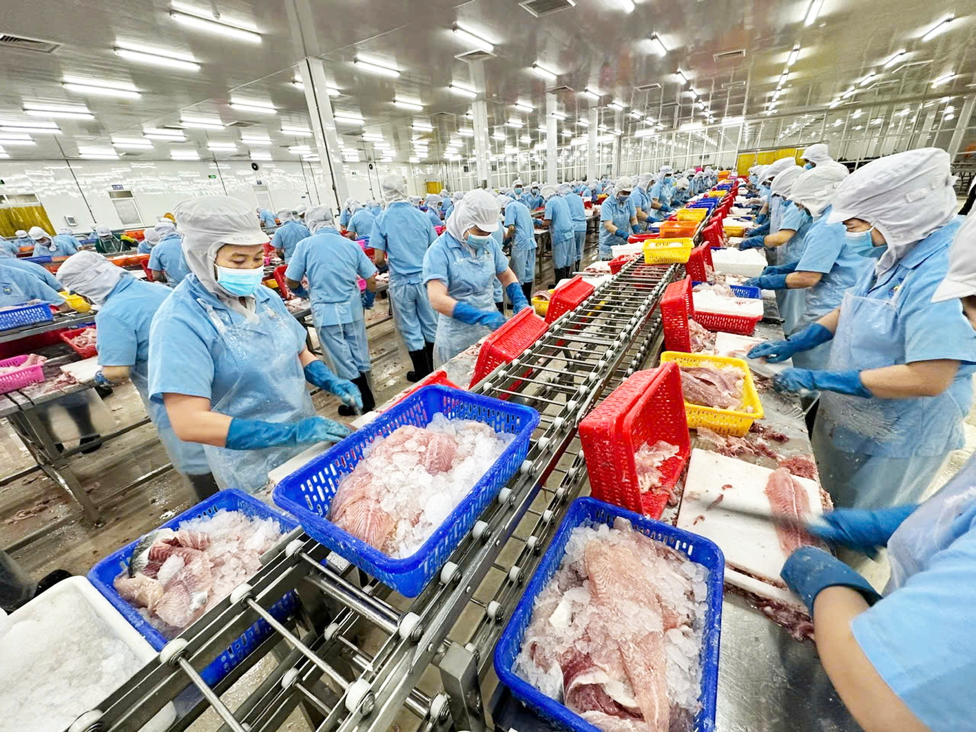 Một số vấn đề mới, quan trọng trong Dự thảo các Văn kiện trình Đại hội XIV của Đảng Hoạt động chế biến hàng xuất khẩu của Công ty cổ phần Nam Việt (Navico) tại An Giang - Ảnh: Mai Ca