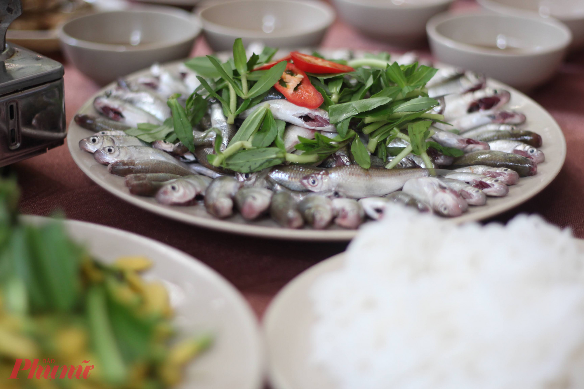 Những điều không nên bỏ qua khi du lịch miền Tây mùa này Thưởng thức ẩm thực đặc trưng mùa nước nổi  Ẩm thực miền Tây vào mùa này mang đậm hơi thở của sông nước, dân dã mà đậm đà. Cá linh, bông điên điển – “cặp đôi mùa lũ” – xuất hiện khắp các mâm cơm. Từ canh chua cá linh bông điên điển, cá linh kho mía đến lẩu mắm thơm nồng, tất cả đều khiến thực khách say mê. Bên cạnh đó là các loại rau đồng quê như bông súng, rau nhút, ngó sen giòn ngọt – thứ hương vị tự nhiên khó quên mà chỉ mùa nước nổi mới có.