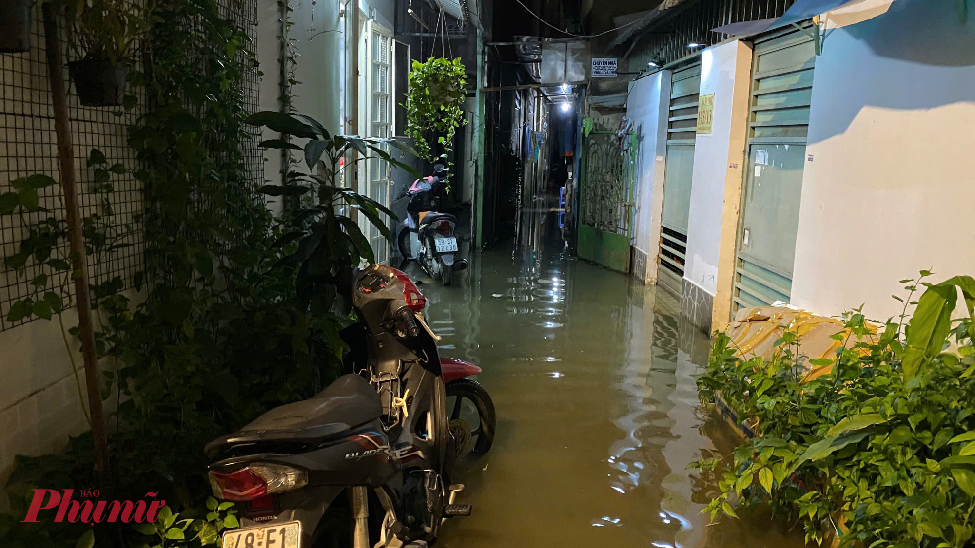 Một số nhà trong hẻm sâu ở phường 