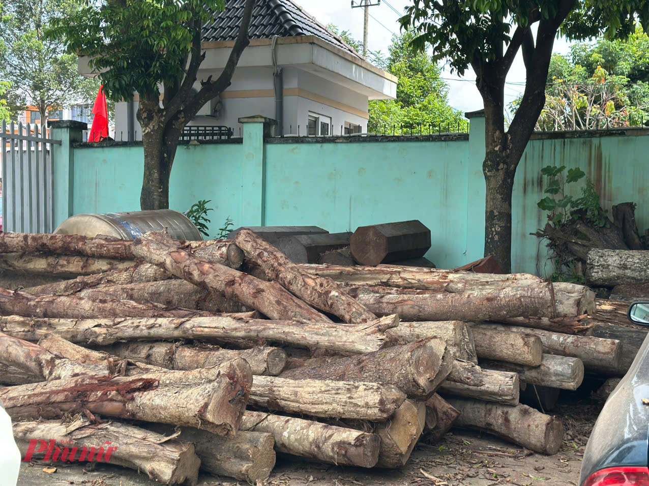 Số tang vật đã được đưa về về Hạt Kiểm lâm Buôn Ma Thuột để xác minh, làm rõ 