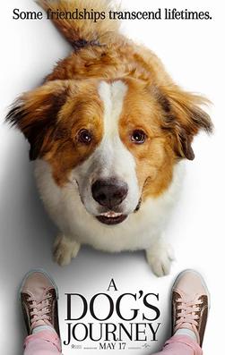 Chó Belle trong phim A Dog' s journey