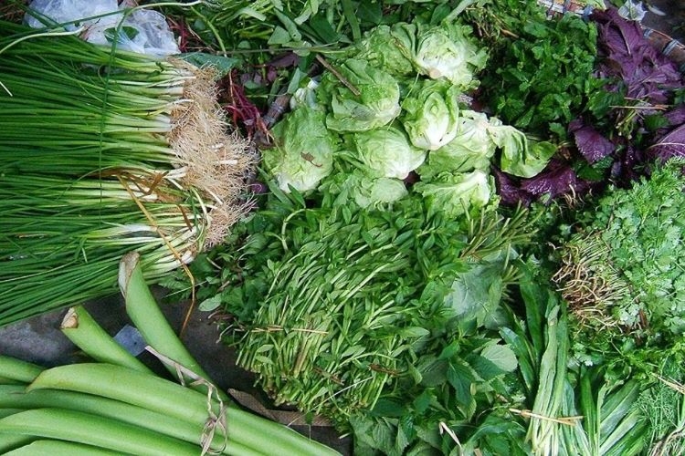 Dù rau là thực phẩm yêu thích của phần đông người Việt, sống chất lượng của loại thực phẩm này luôn là nỗi lo