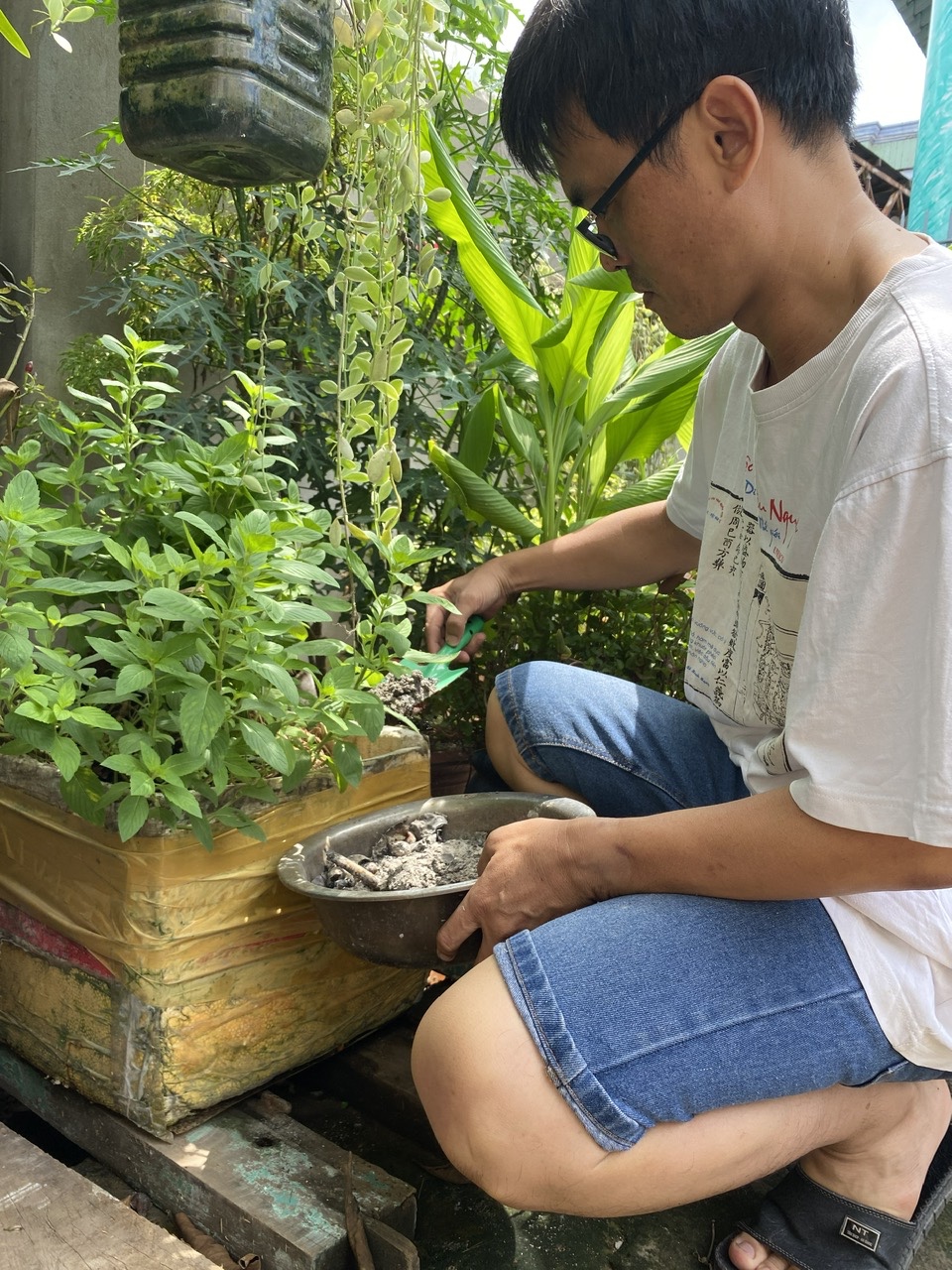 Tro được dùng làm phân bón cho rau trong vườn