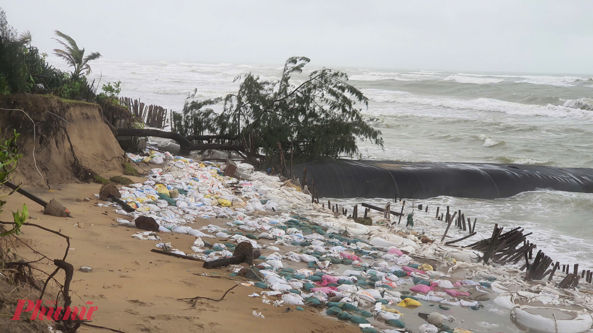 Nước biển xâm thực sâu từ 7-10m, có đoạn xâm thực sâu vào gần 25-30m.