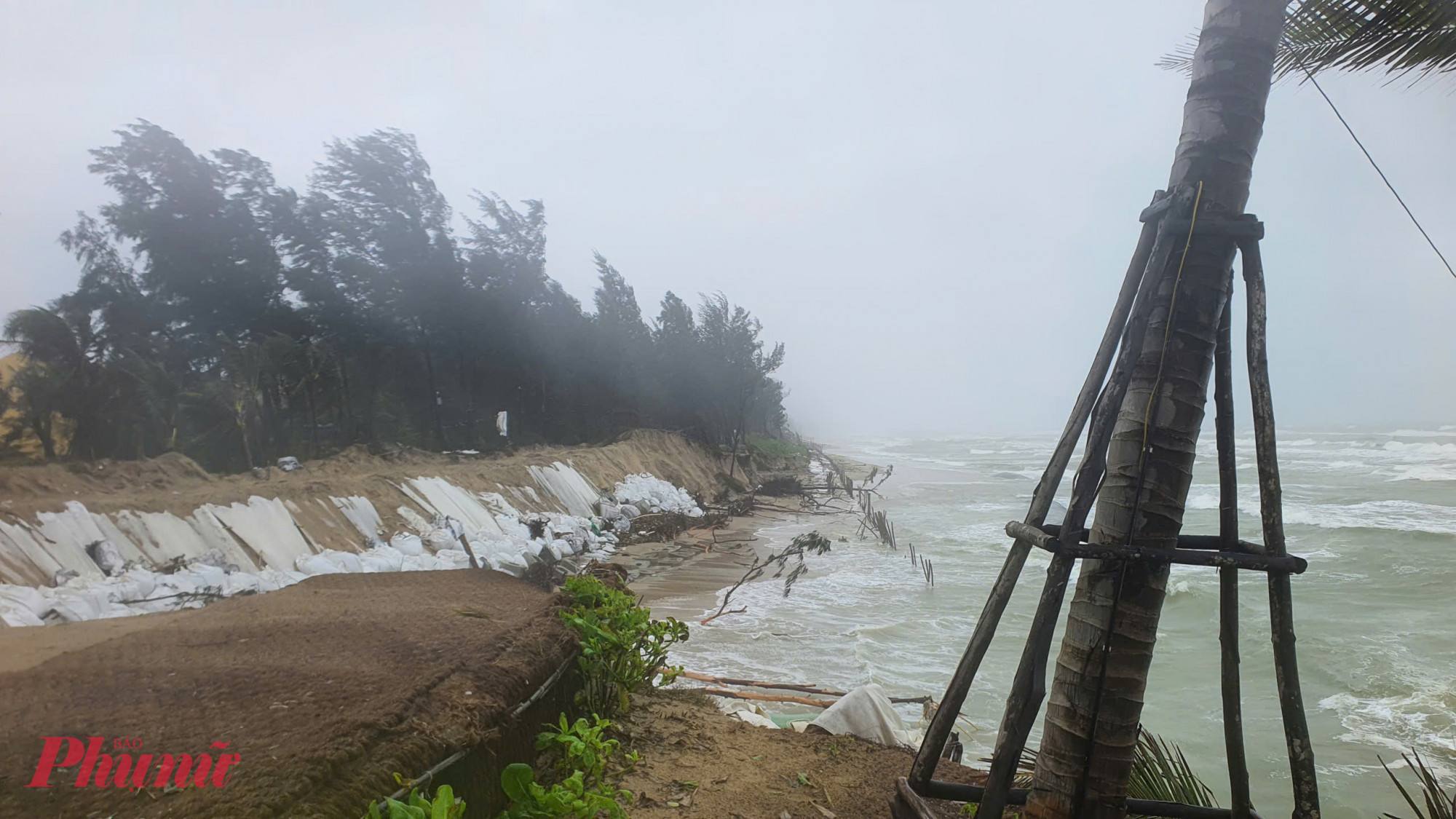 Theo đó, tại phường Hội An Tây, tổng chiều dài sạt lở là hơn 3 km bờ biển.