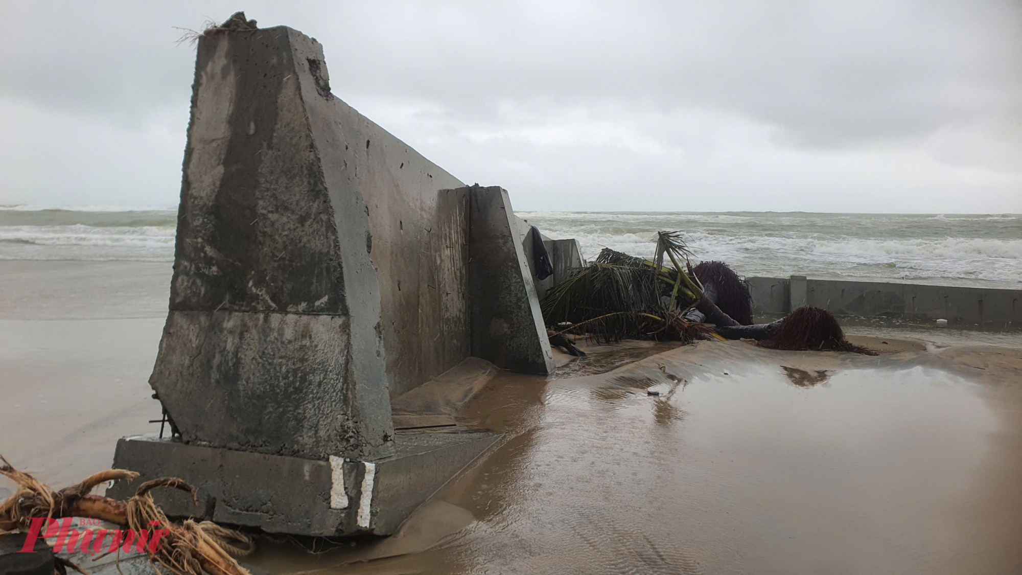 Những khối kè bê tông mong manh trước biển.