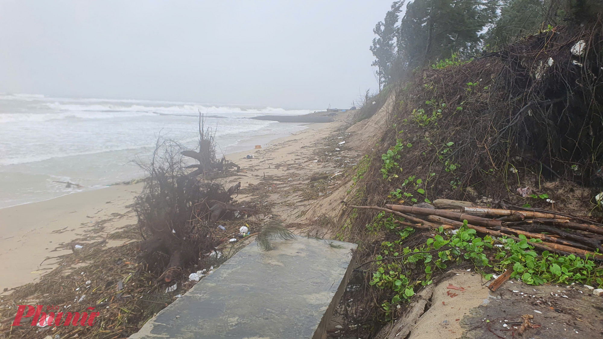 Đoạn có kè mềm sạt dài 250m, rộng 3-5m.