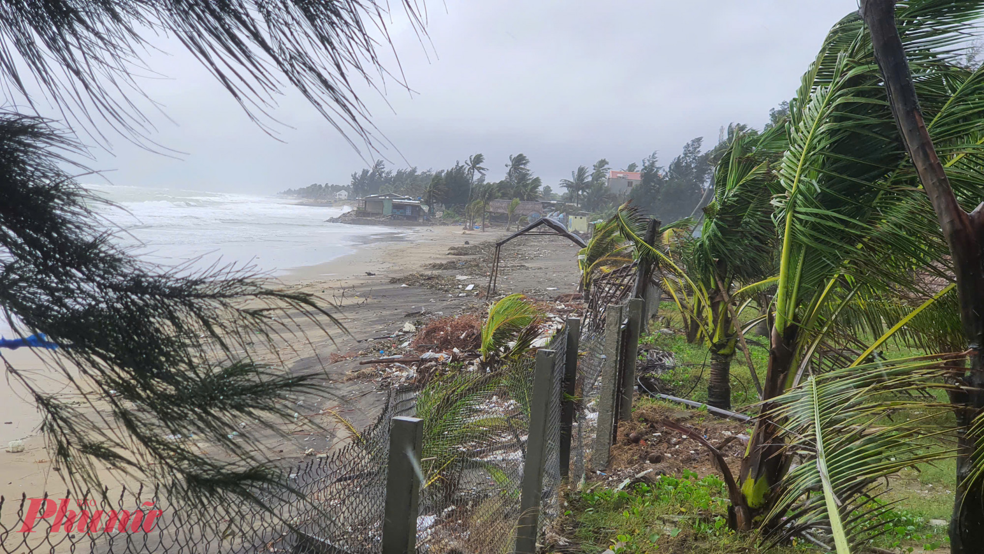 Tại khối phố Tân Thịnh, sau một năm bờ biển được bồi lắng hồi sinh do hệ thống kè ngầm ở ngoài biển, nay lại bị xâm thực trở lại.