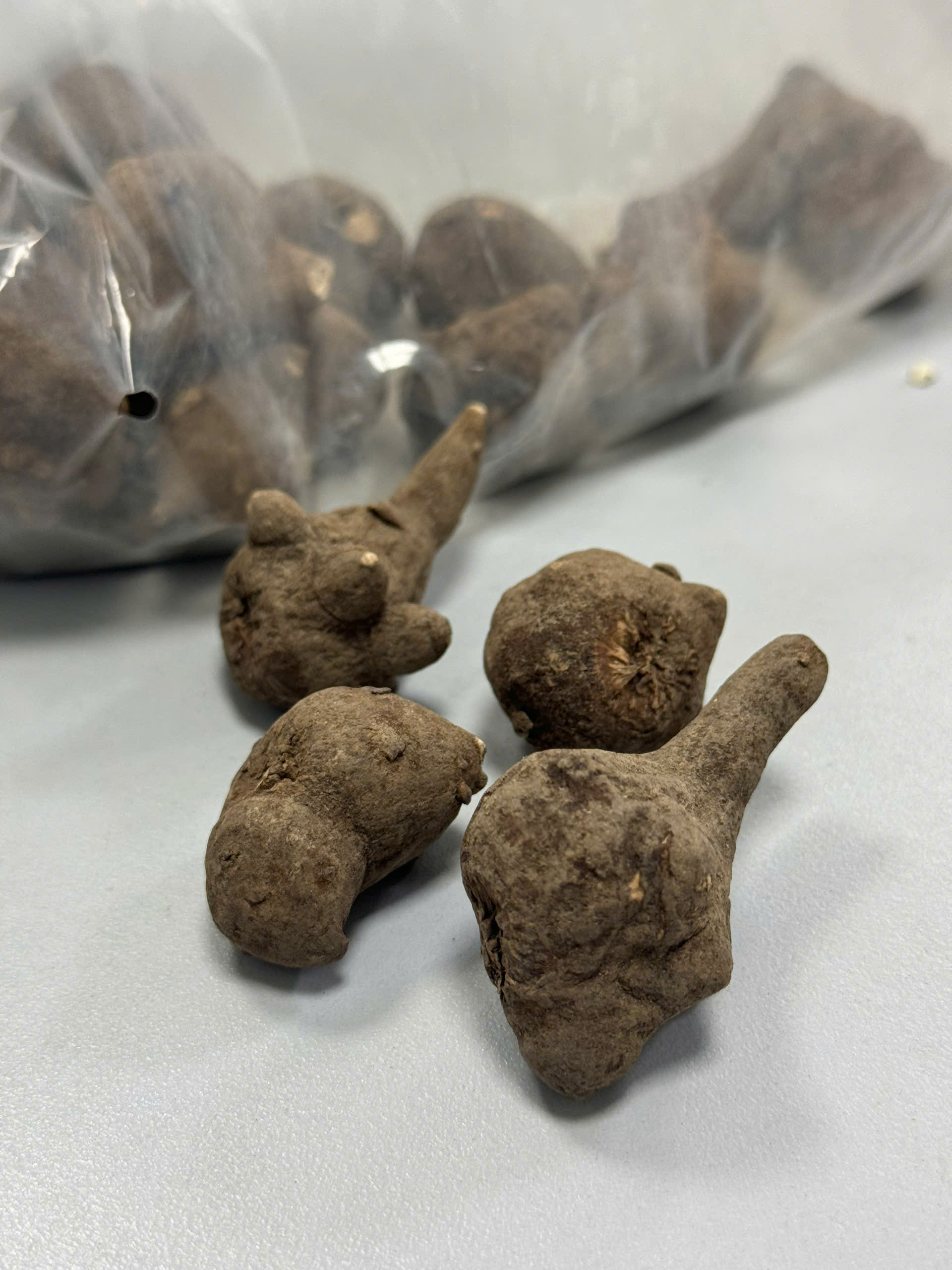 Củ ấu tàu bệnh nhân mua trên mạng - ảnh: T.S.