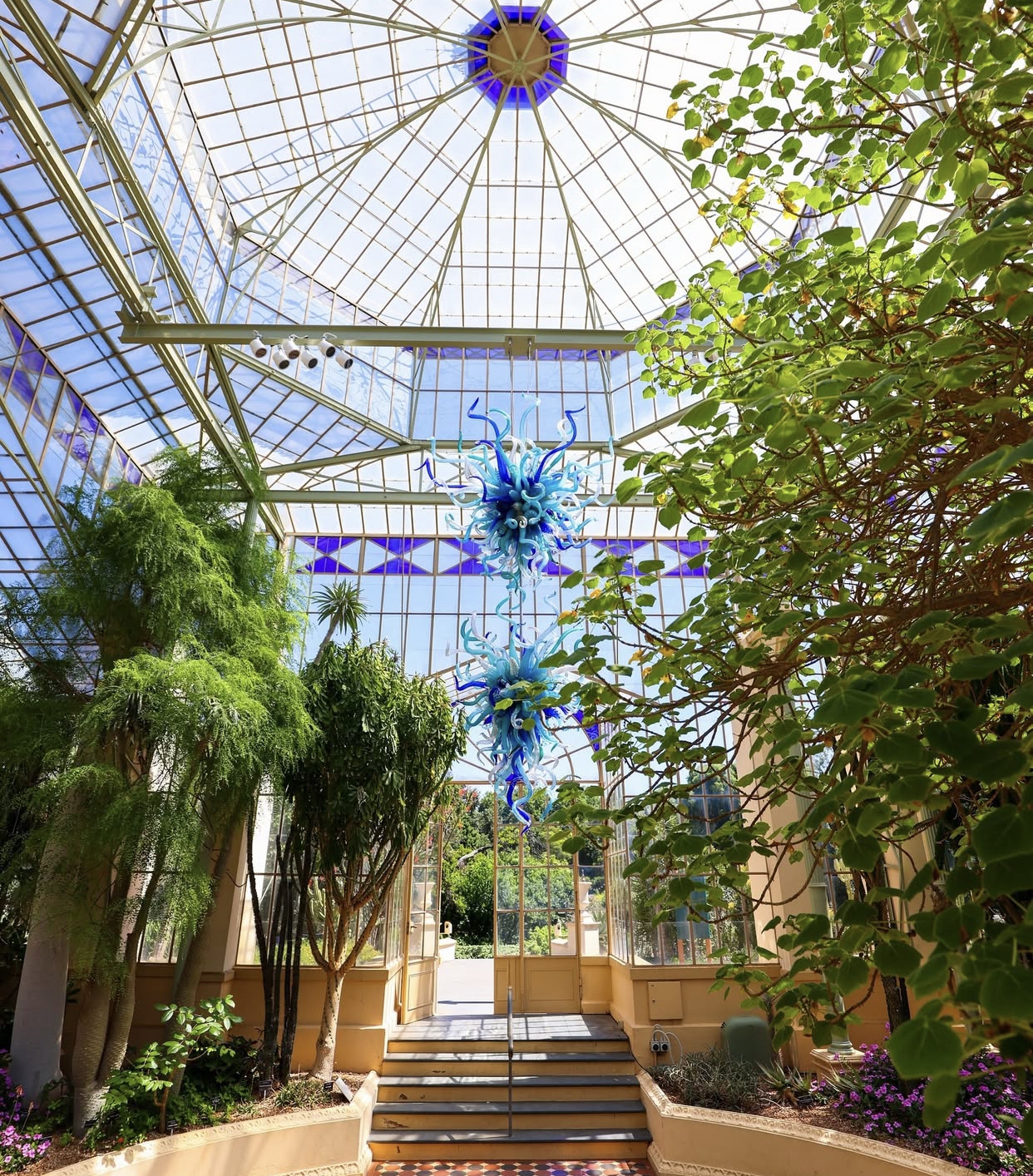 Được thành lập năm 1857, Adelaide Botanic Garden là một trong những vườn thực vật lớn và cổ nhất nước Úc, trải rộng hơn 50 hécta ngay trung tâm thành phố. Nơi đây không chỉ là “lá phổi xanh” mà còn là không gian lưu giữ hơn 2.500 loài thực vật đến từ khắp thế giới.