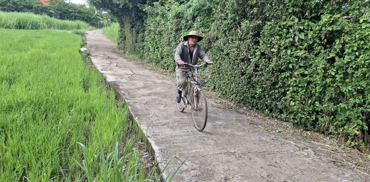 Hàng rào duối hiếm có ở xã Tuy An Nam (Đắk Lắk) - Ảnh: Mạnh Trâm Trân