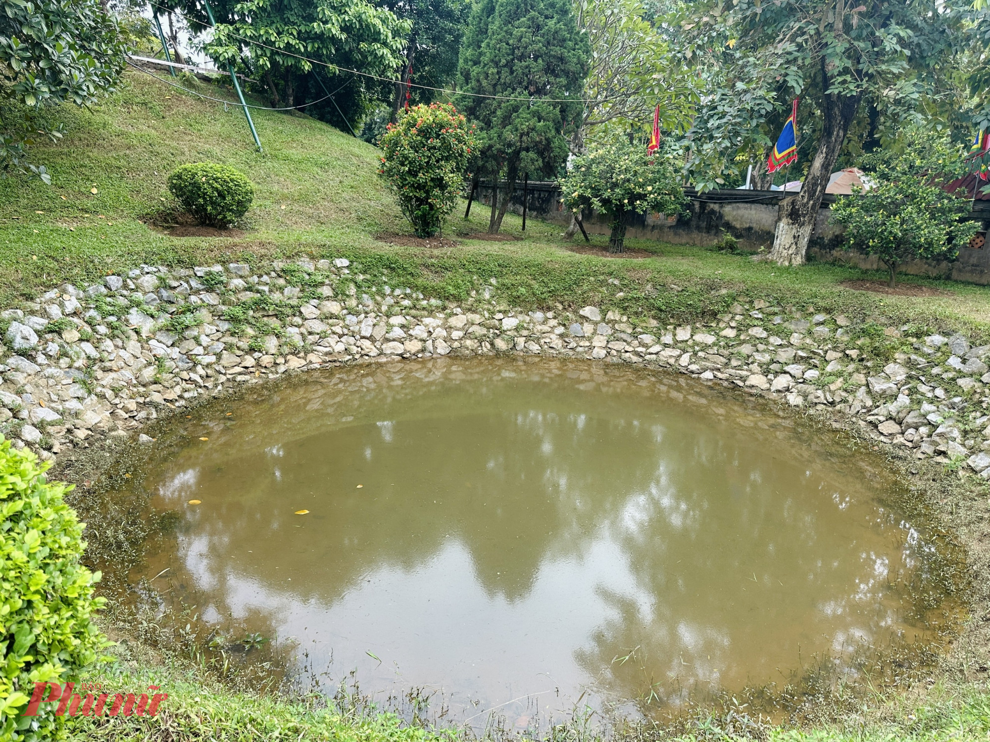 Mắt rồng  trong thành