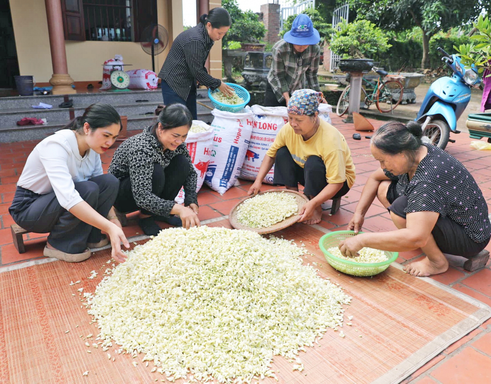 Các bà, các chị là những lao động chính của hợp tác xã. Ngoài thu nhập mùa vụ  còn được nhận lương tháng gần 5 triệu đồng mỗi người - Ảnh do nhân vật cung cấp