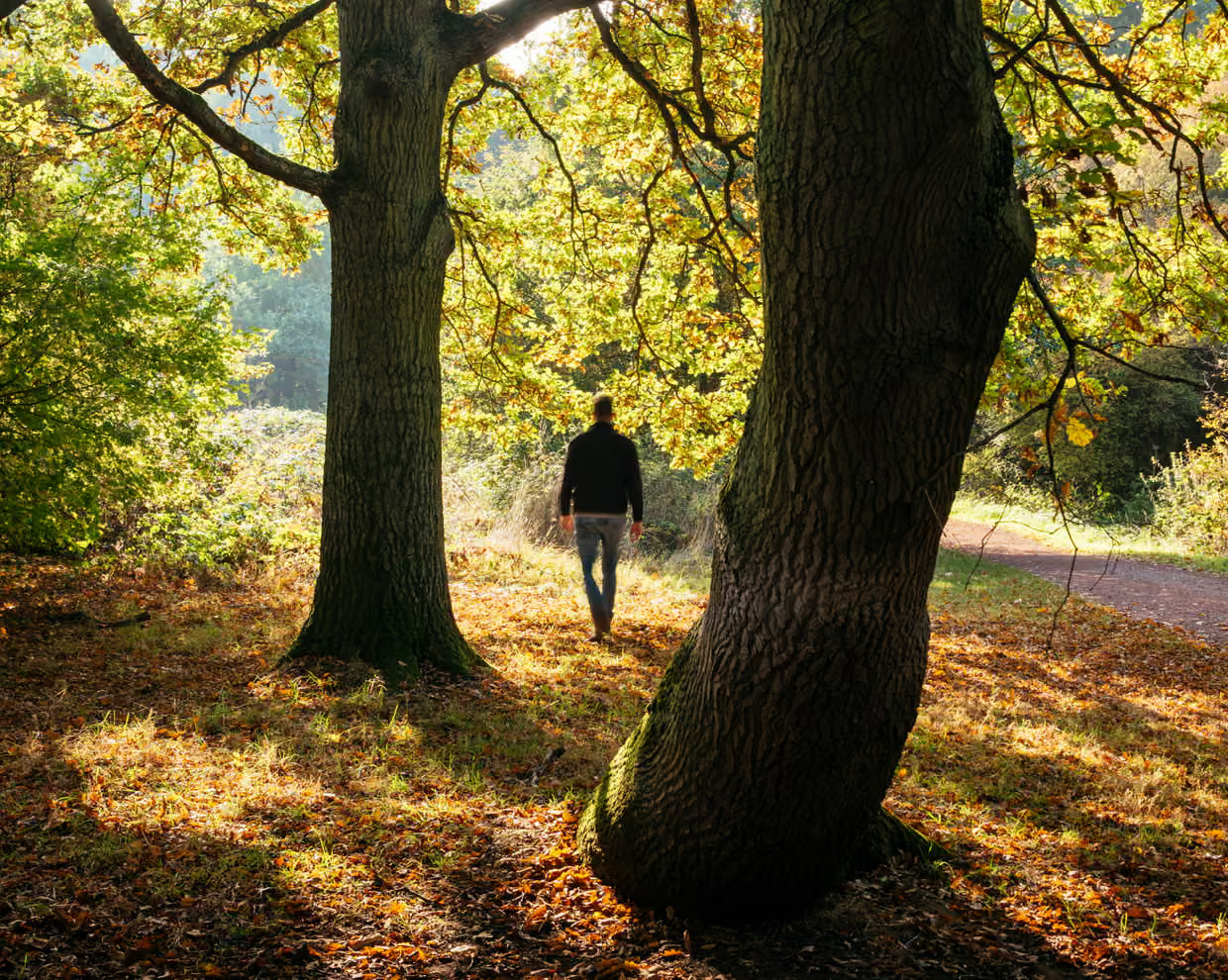 Các nghiên cứu đã phát hiện ra rằng những người có mức độ kết nối với thiên nhiên cao hơn sẽ có sức khỏe tốt hơn