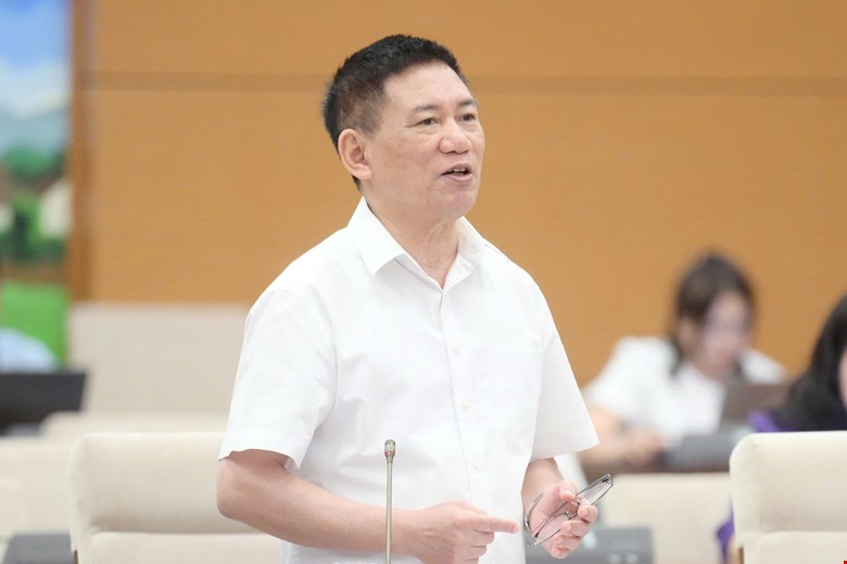 Phó Thủ tướng Hồ Đức Phớc - ảnh: QH