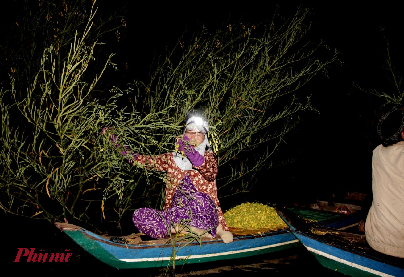 Bên cạnh đánh bắt thủy sản, người dân còn thức đêm dậy sớm để thu hoạch bông điên điển và bông súng ma để bán cho thu nhập tương đối cao.