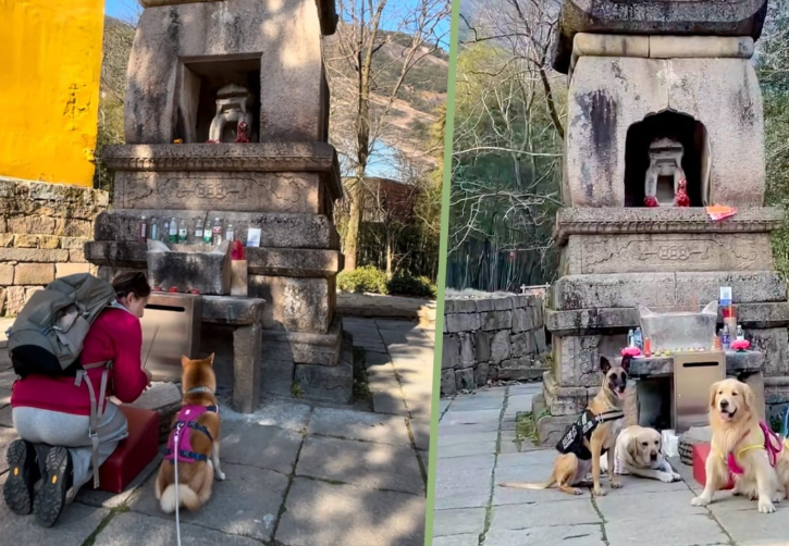 Nhưững người nuôi thú cưng không ngãi đường xa mang thứ cưng mình đi chùa
