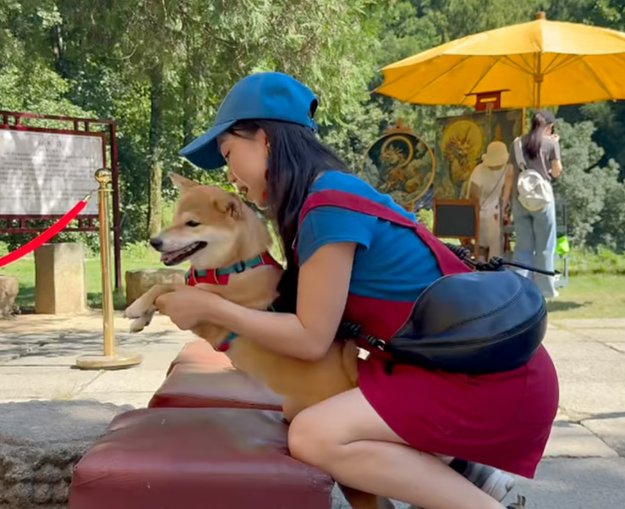 Mợt người chủ đang dạy thú cưng khán nguyện