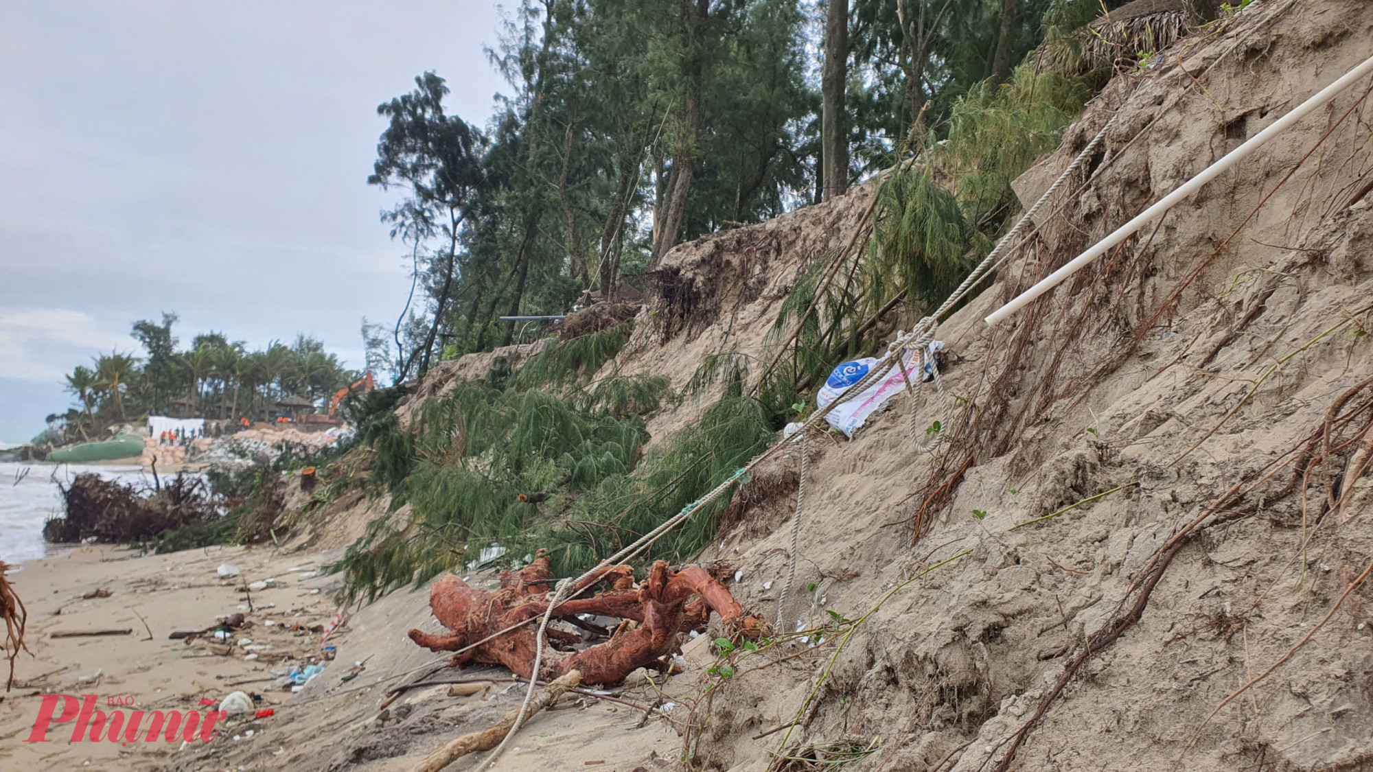 Theo Ban chỉ huy phòng thủ dân sự TP Đà Nẵng, đợt mưa bão số 12 đến nay đã xé toạc hơn 3,4km bờ biển Hội An.